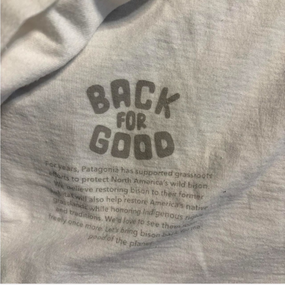 Patagonia White Short Sleeve Tee with Buffalo Graphic - Picture 4 of 5
